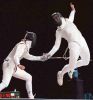 fencing[1].jpg